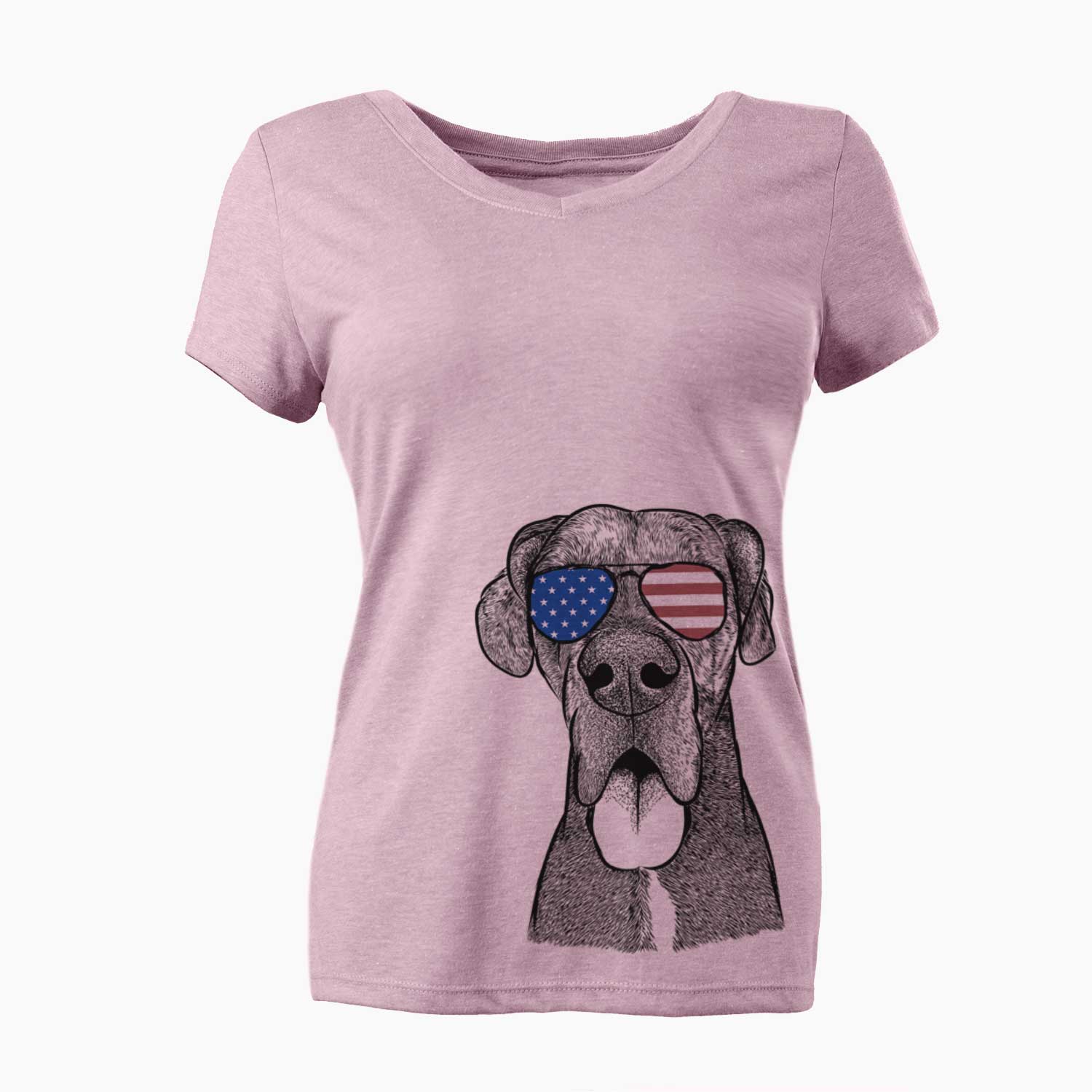 USA Eli the Great Dane - Women's Perfect V-neck Shirt