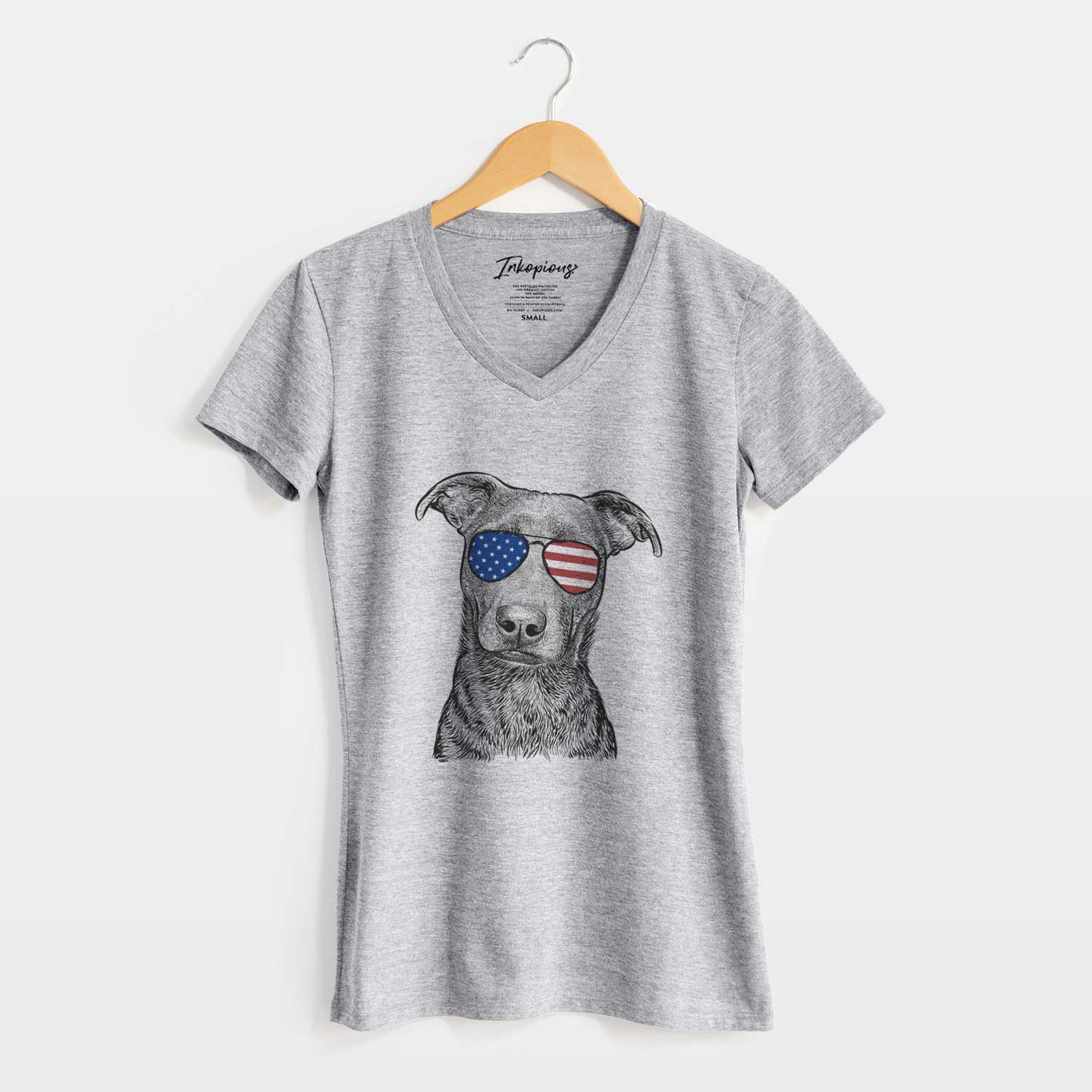 USA Embyr the Mixed Breed - Women's Perfect V-neck Shirt