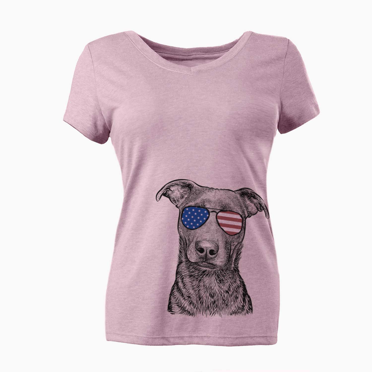 USA Embyr the Mixed Breed - Women's Perfect V-neck Shirt