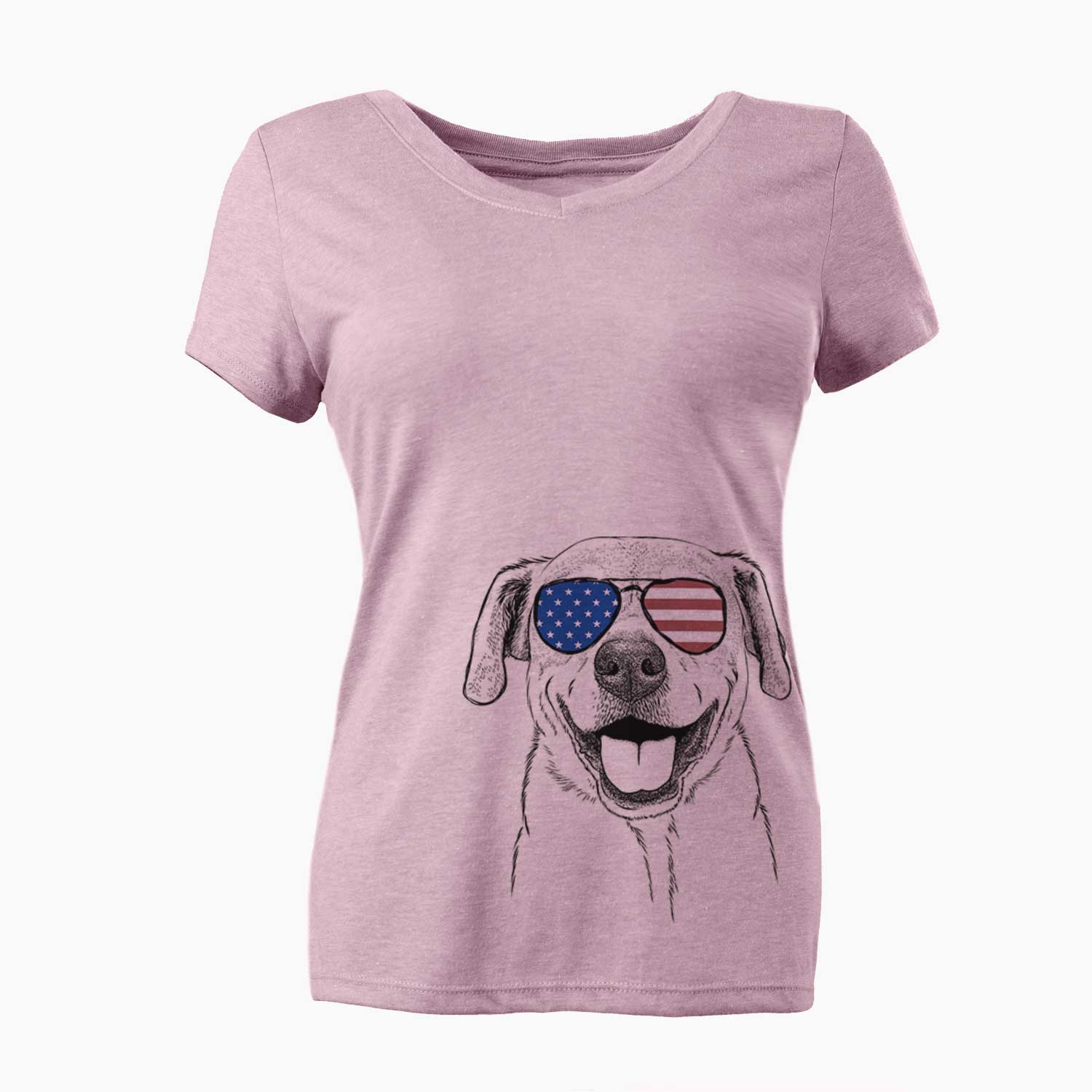 USA Ernie the Mixed Breed - Women's Perfect V-neck Shirt