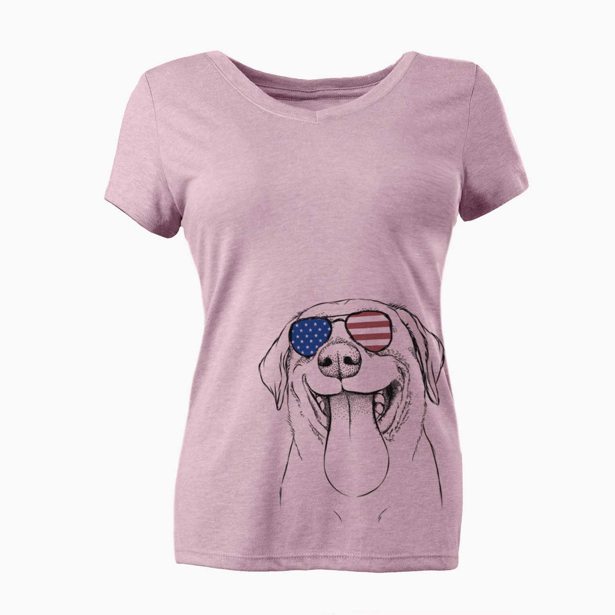 USA Fig the Labrador Retriever - Women's Perfect V-neck Shirt