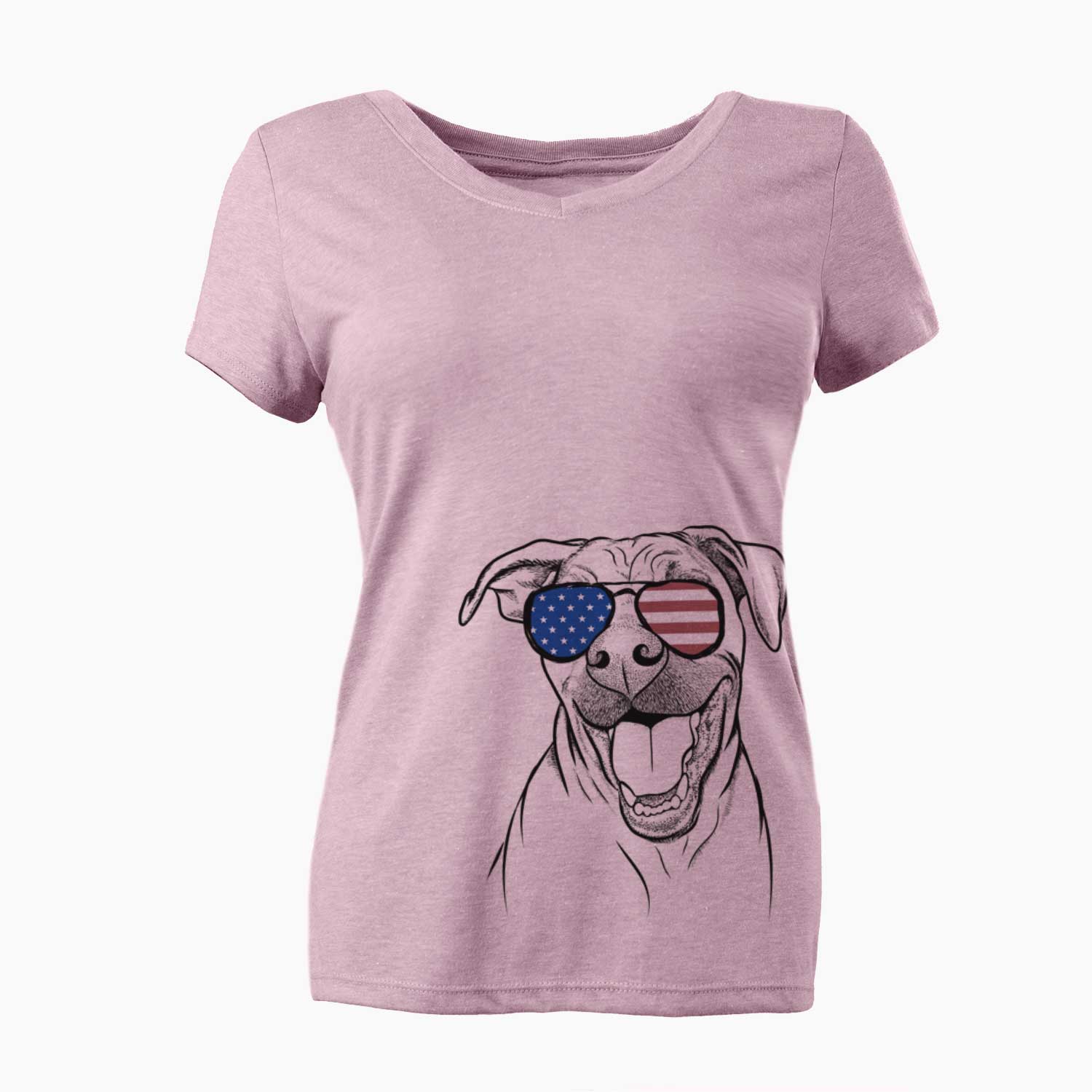 USA Finn the Hound Mix - Women's Perfect V-neck Shirt
