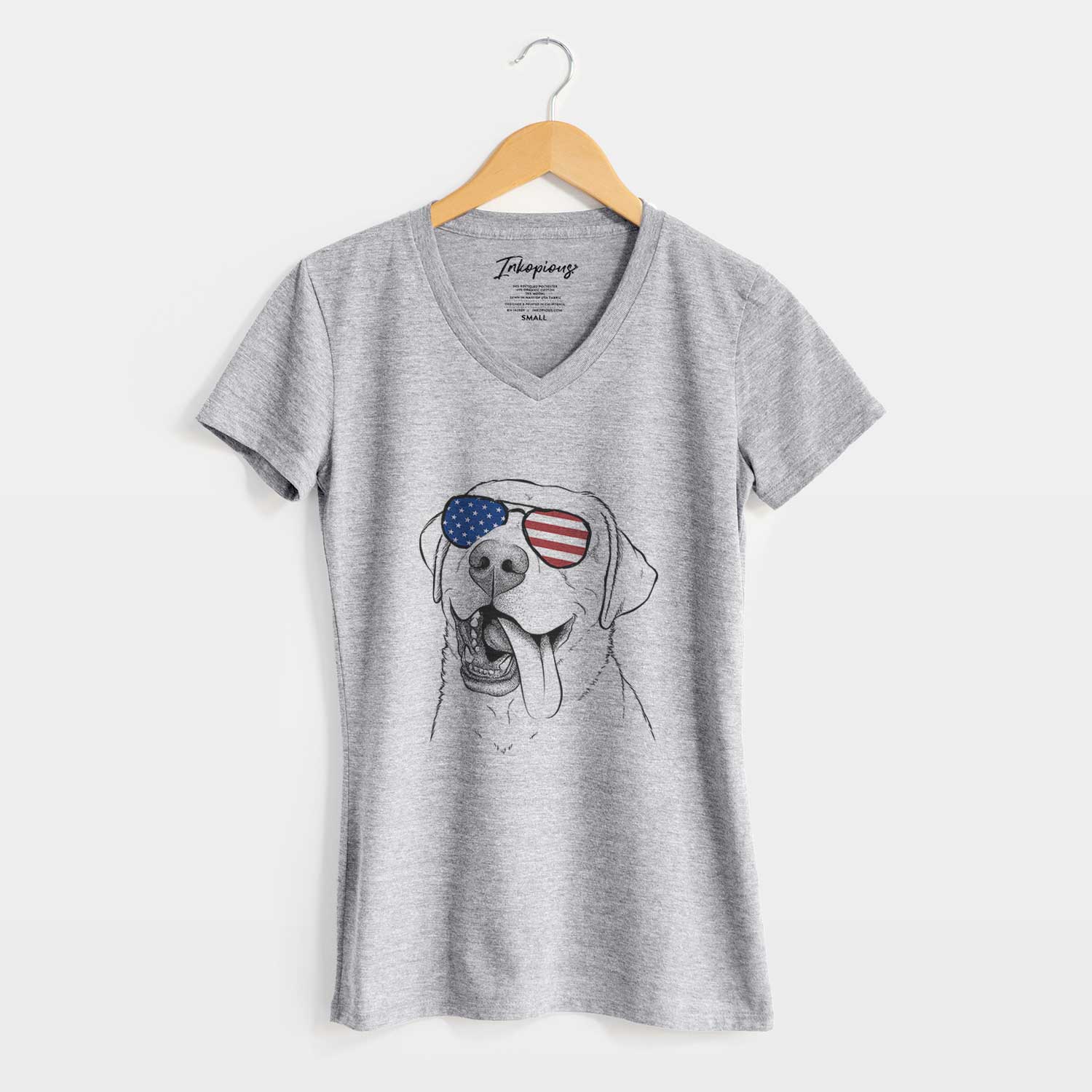 USA Finn the Labrador Retriever - Women's Perfect V-neck Shirt