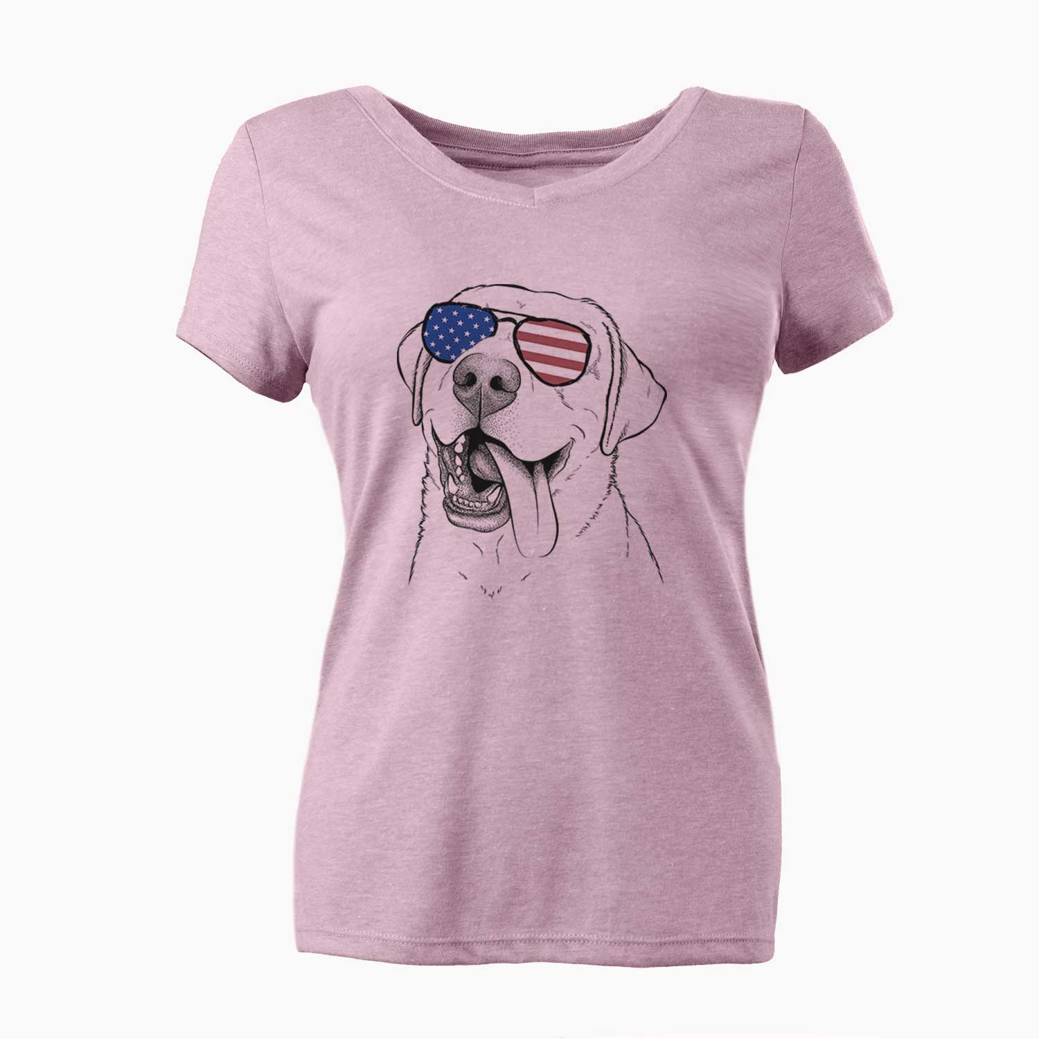 USA Finn the Labrador Retriever - Women's Perfect V-neck Shirt