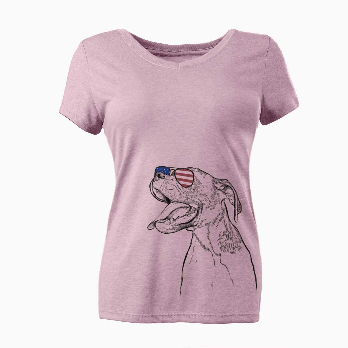 USA Floyd the Boxer - Women's Perfect V-neck Shirt