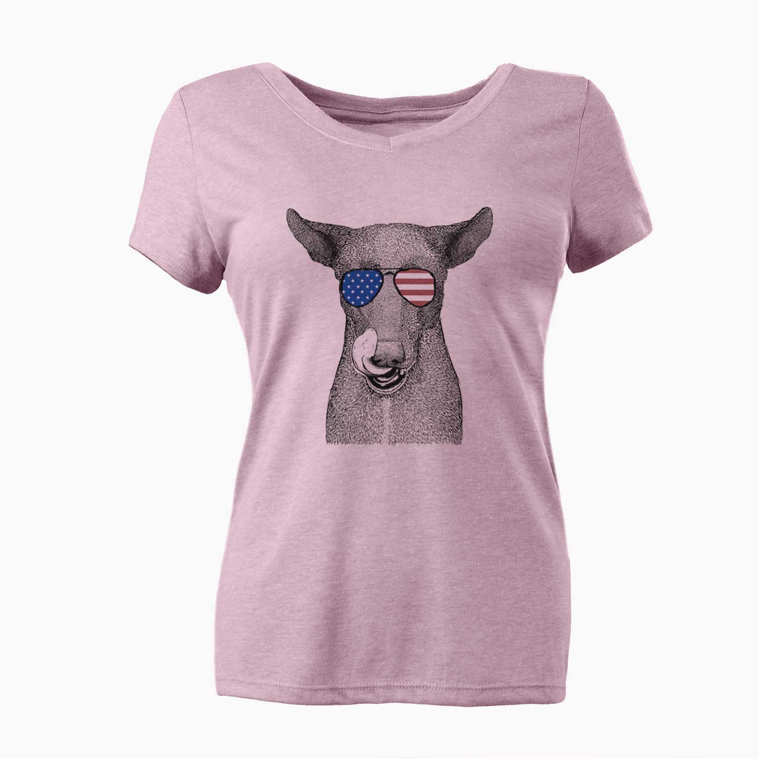 USA Gidget the Mexican Street Dog - Women's Perfect V-neck Shirt