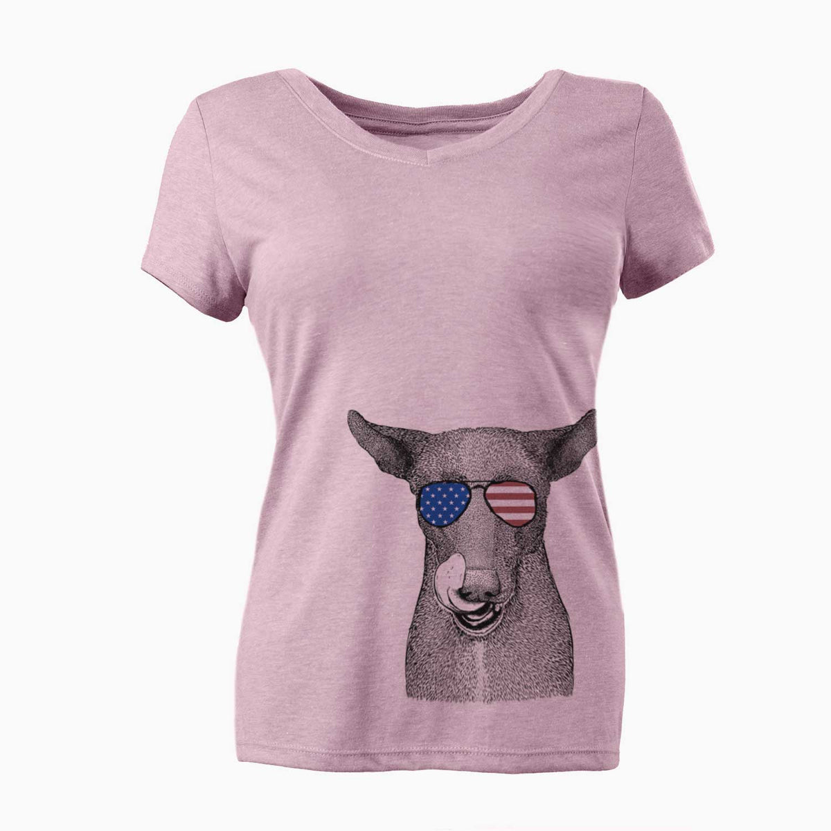 USA Gidget the Mexican Street Dog - Women's Perfect V-neck Shirt