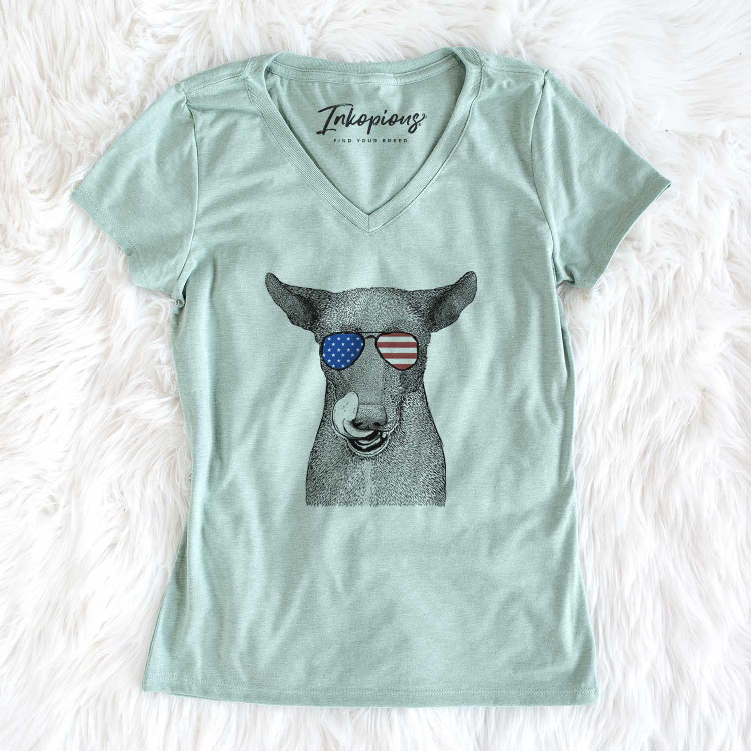 USA Gidget the Mexican Street Dog - Women's Perfect V-neck Shirt