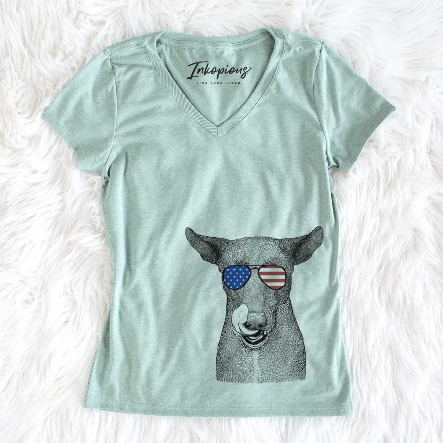 USA Gidget the Mexican Street Dog - Women's Perfect V-neck Shirt