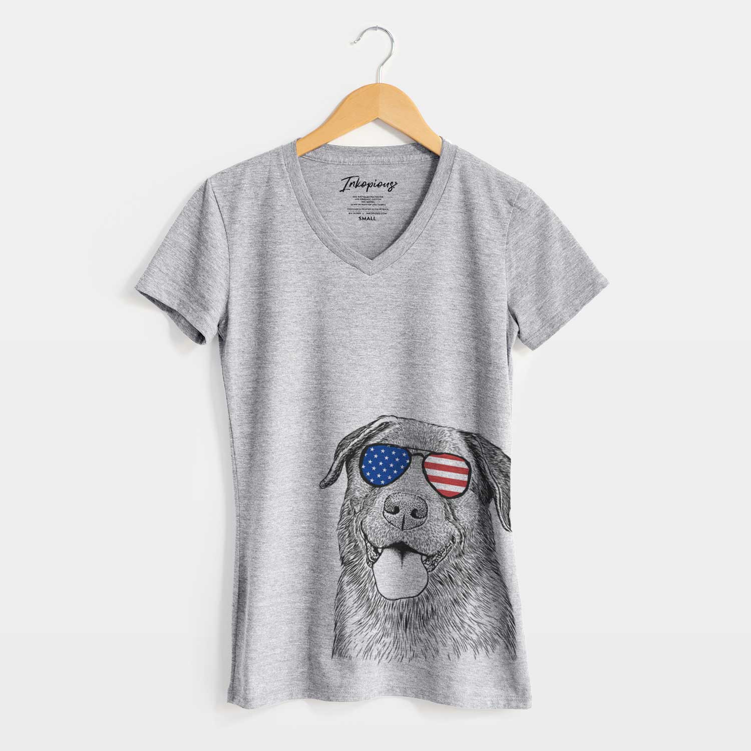 USA Gonzo the Chocolate Lab - Women's Perfect V-neck Shirt