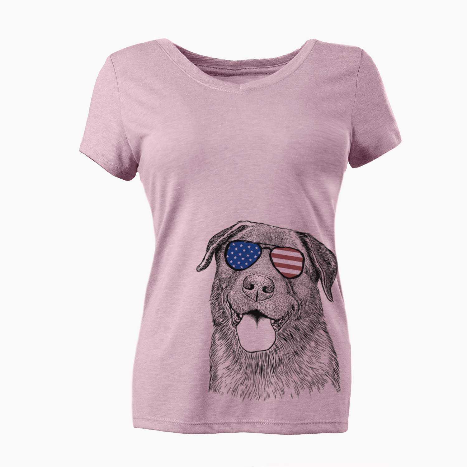 USA Gonzo the Chocolate Lab - Women's Perfect V-neck Shirt