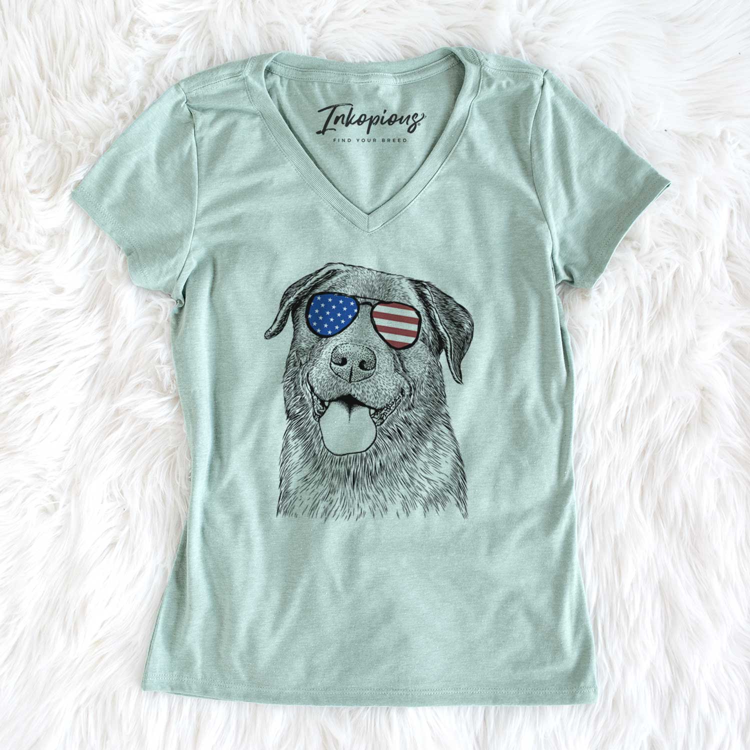 USA Gonzo the Chocolate Lab - Women's Perfect V-neck Shirt