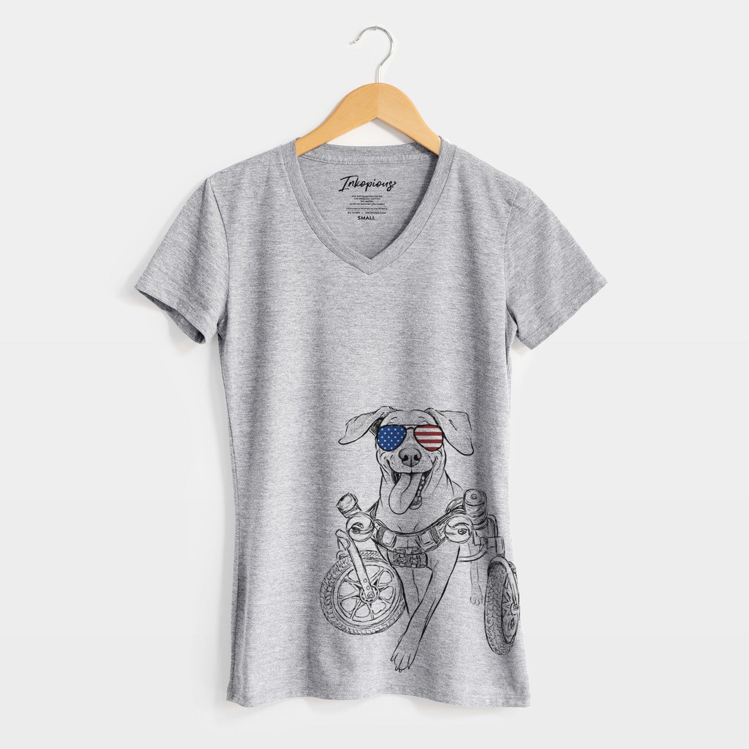 USA Hannah the Pitbull Mix - Women's Perfect V-neck Shirt