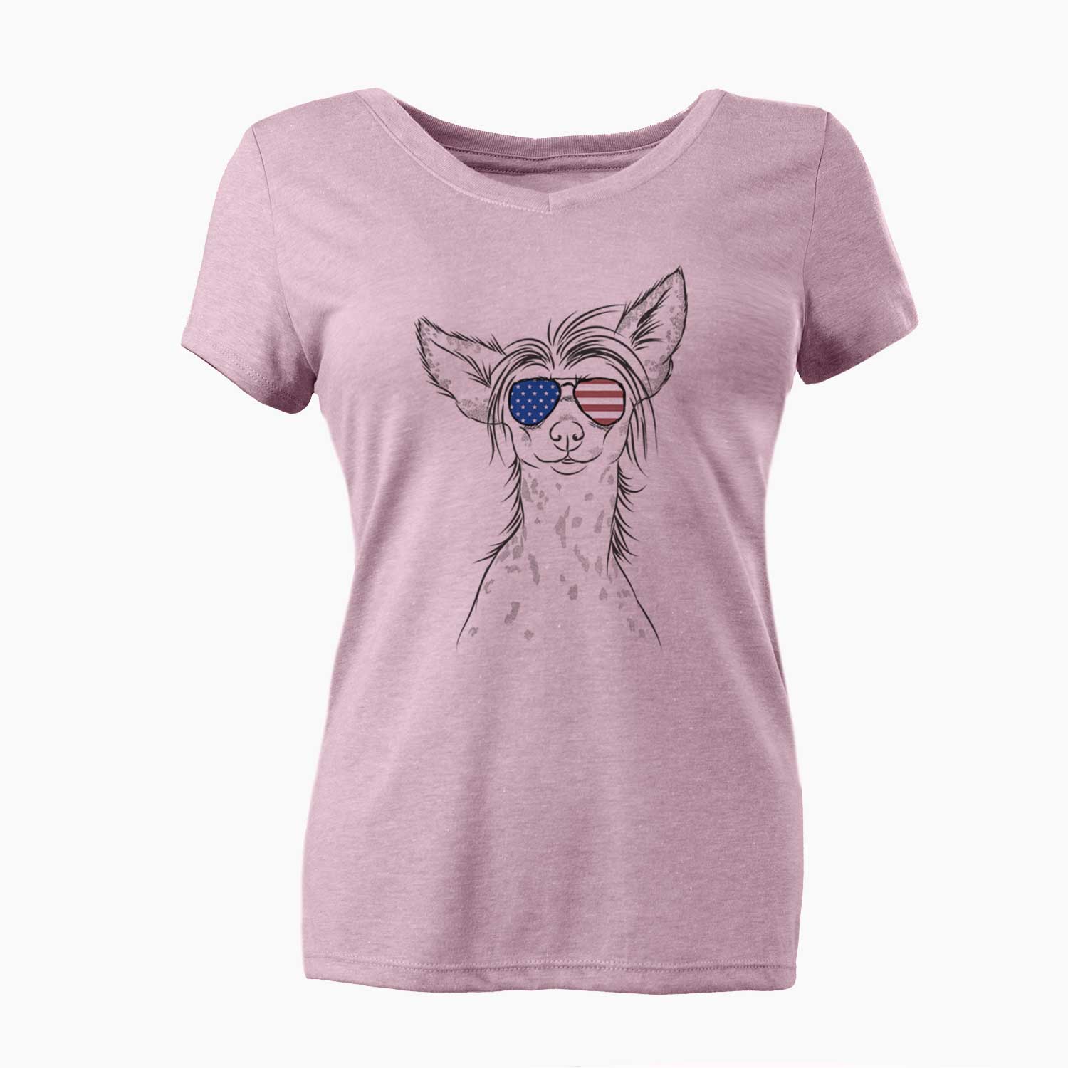 USA Hudson the Chinese Crested - Women's Perfect V-neck Shirt