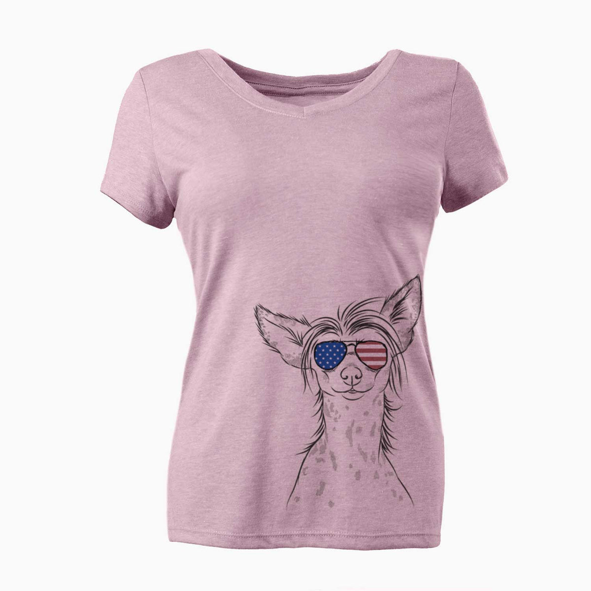 USA Hudson the Chinese Crested - Women's Perfect V-neck Shirt