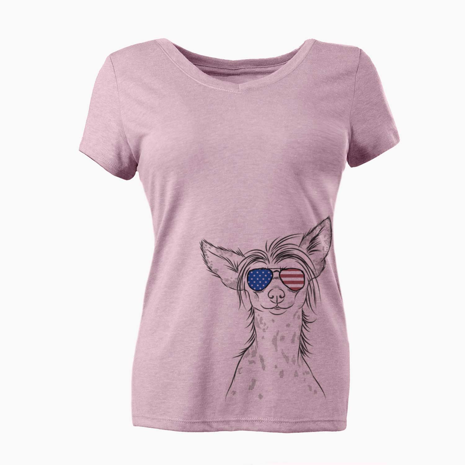 USA Hudson the Chinese Crested - Women's Perfect V-neck Shirt