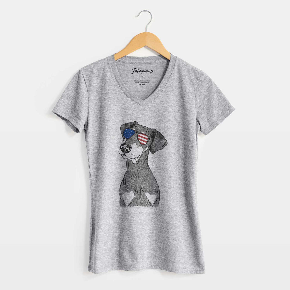 USA Iroh the Doberman Pinscher - Women's Perfect V-neck Shirt