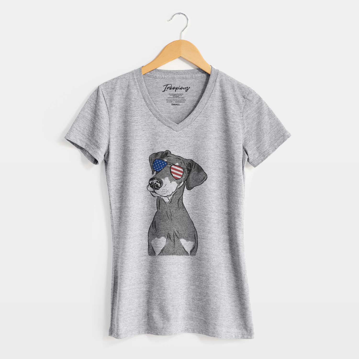 USA Iroh the Doberman Pinscher - Women's Perfect V-neck Shirt