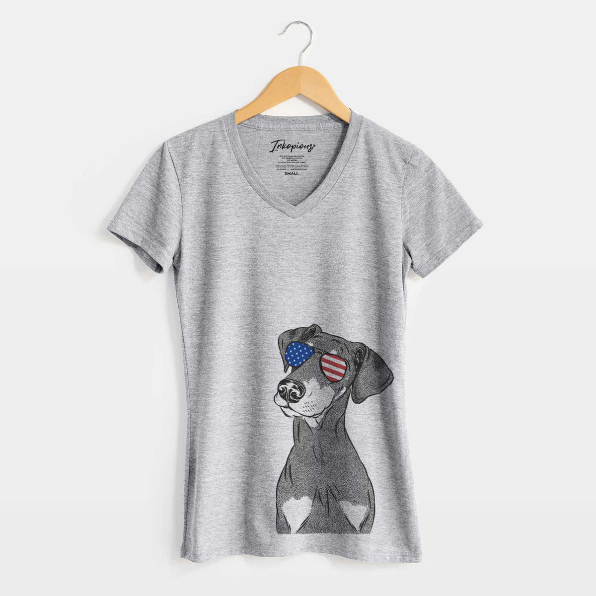 USA Iroh the Doberman Pinscher - Women's Perfect V-neck Shirt