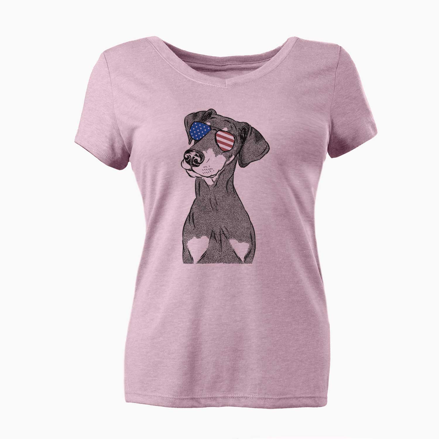 USA Iroh the Doberman Pinscher - Women's Perfect V-neck Shirt