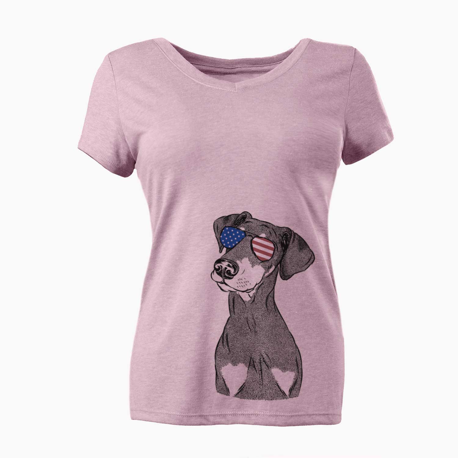 USA Iroh the Doberman Pinscher - Women's Perfect V-neck Shirt