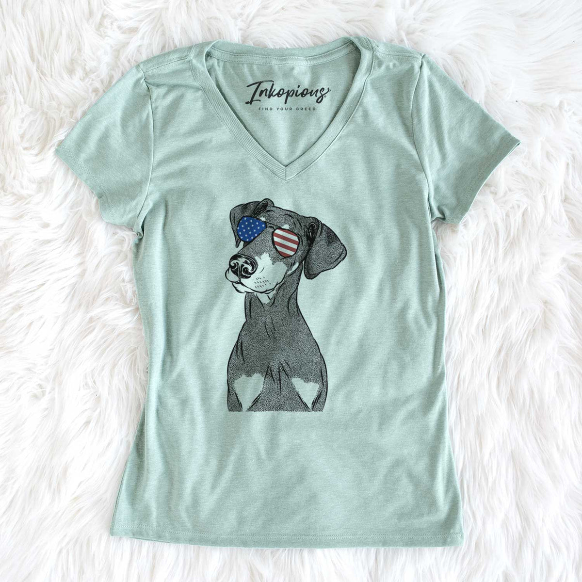 USA Iroh the Doberman Pinscher - Women's Perfect V-neck Shirt