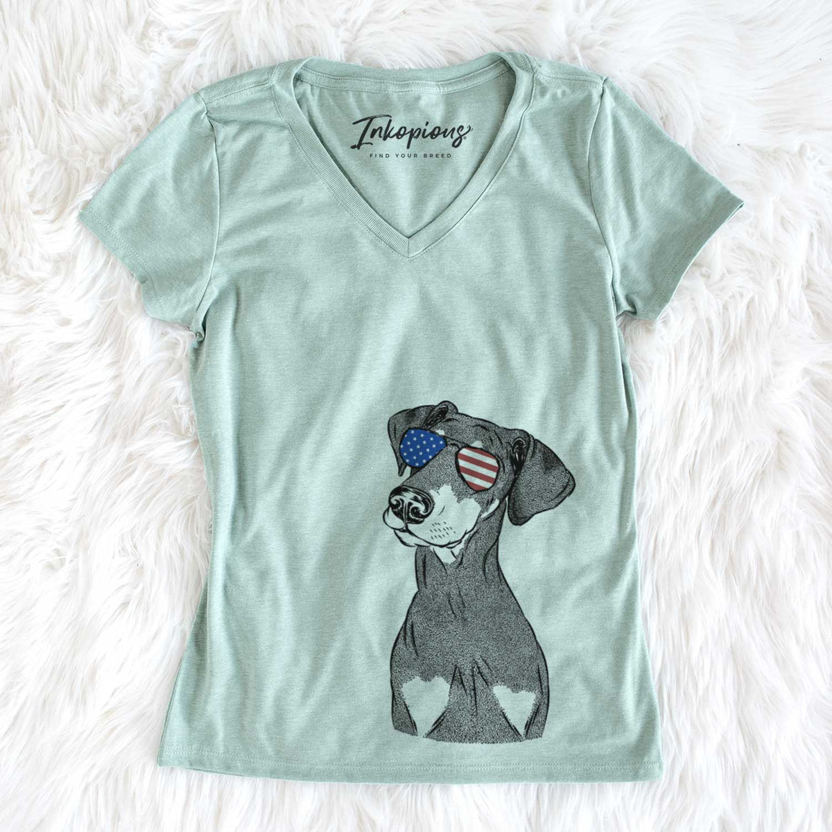 USA Iroh the Doberman Pinscher - Women's Perfect V-neck Shirt