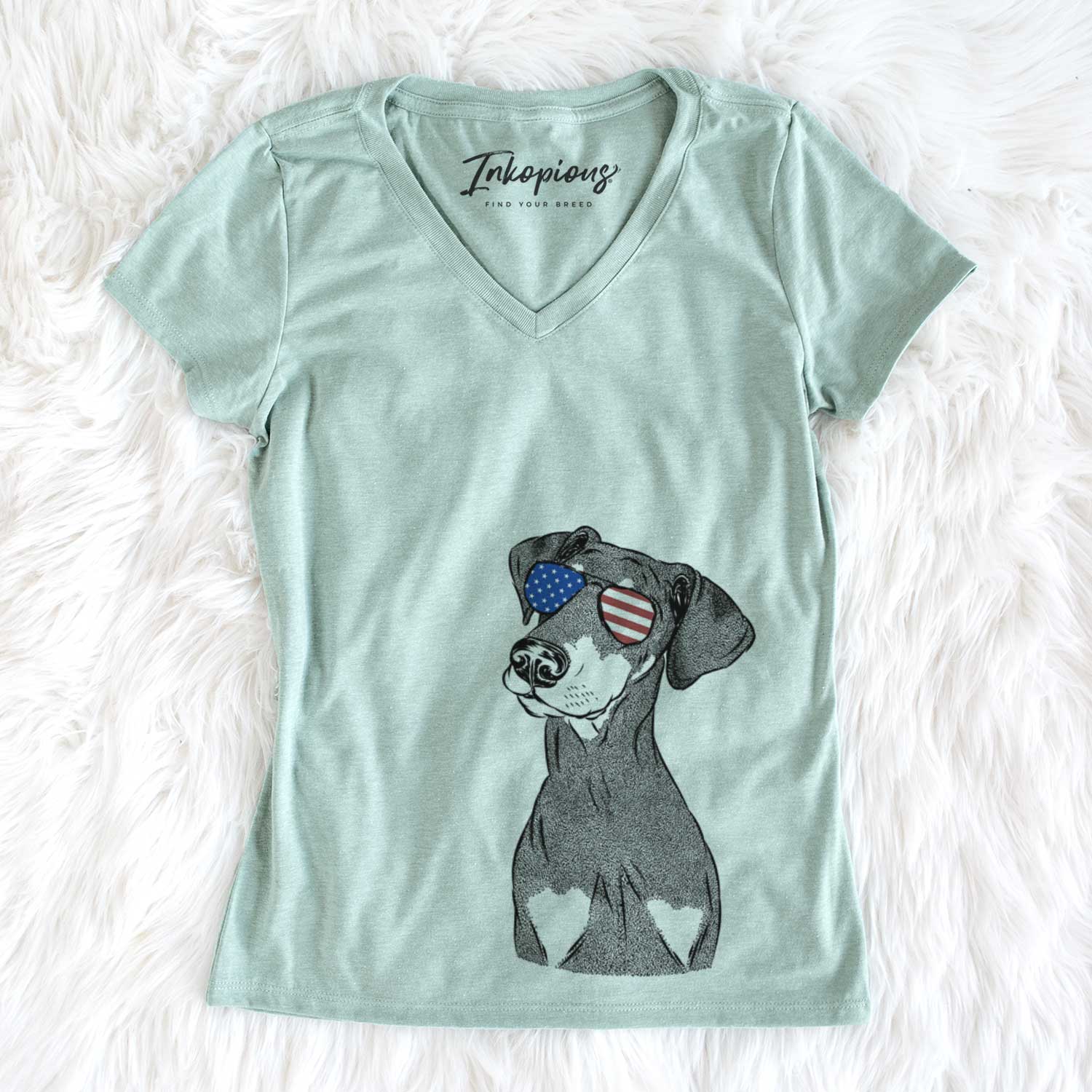 USA Iroh the Doberman Pinscher - Women's Perfect V-neck Shirt