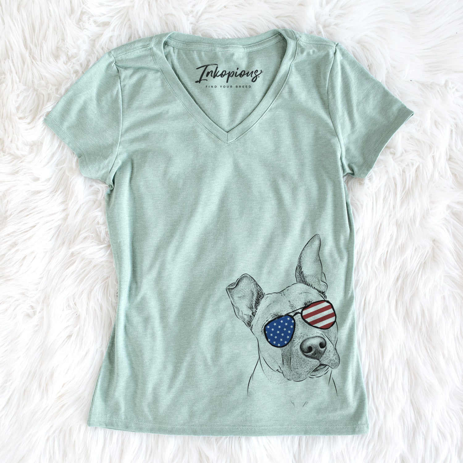 USA Ivy the Pitbull Mix - Women's Perfect V-neck Shirt