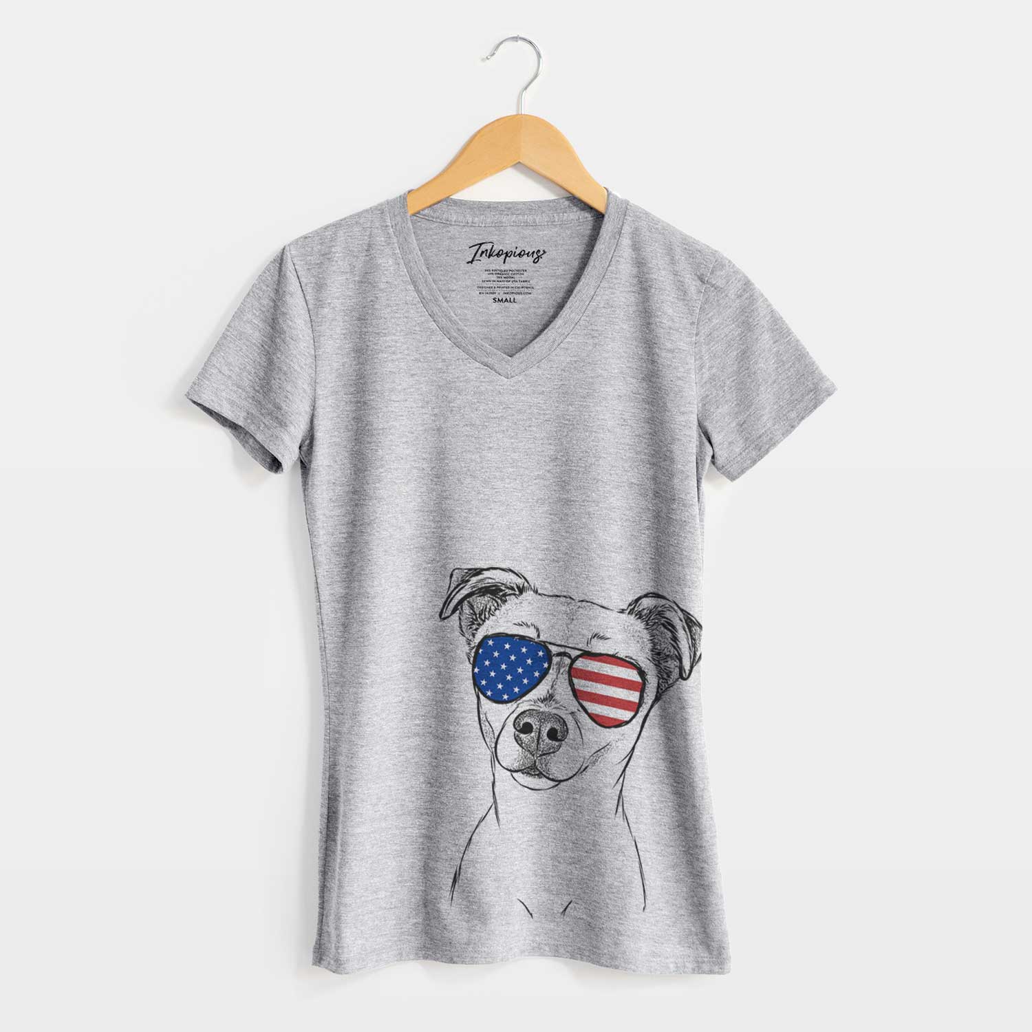 USA Izzy the Chiweenie - Women's Perfect V-neck Shirt