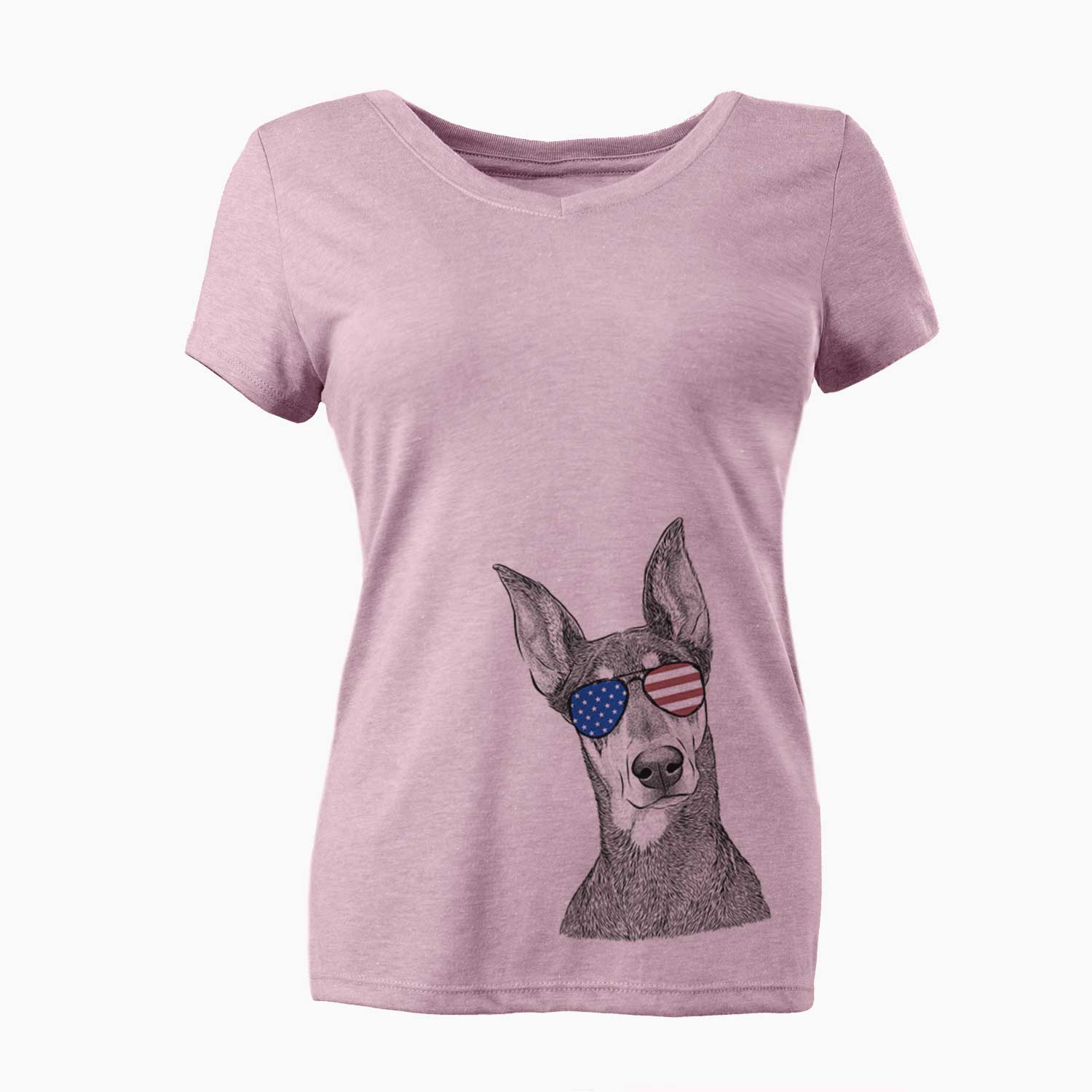 USA Jenna the Doberman Pinscher - Women's Perfect V-neck Shirt
