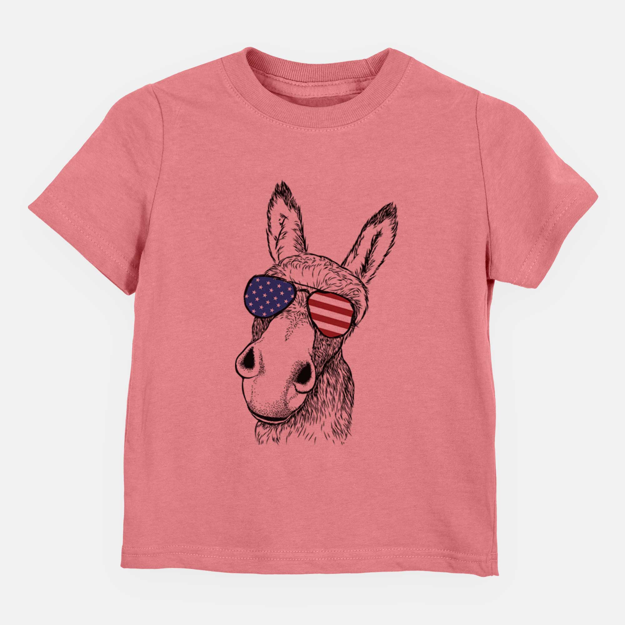 USA Jenny the Donkey - Kids/Youth/Toddler Shirt