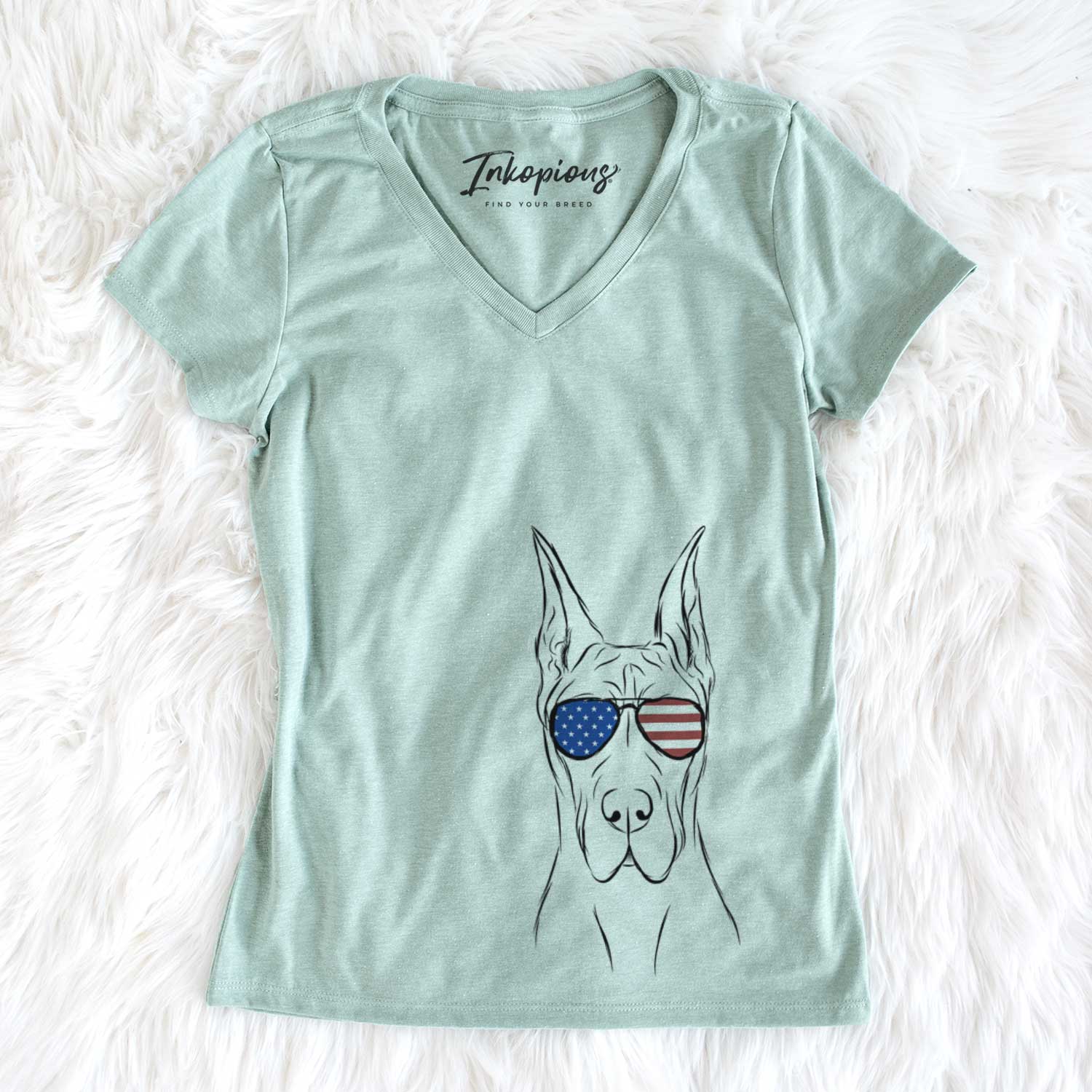 USA Jude the Great Dane - Women's Perfect V-neck Shirt