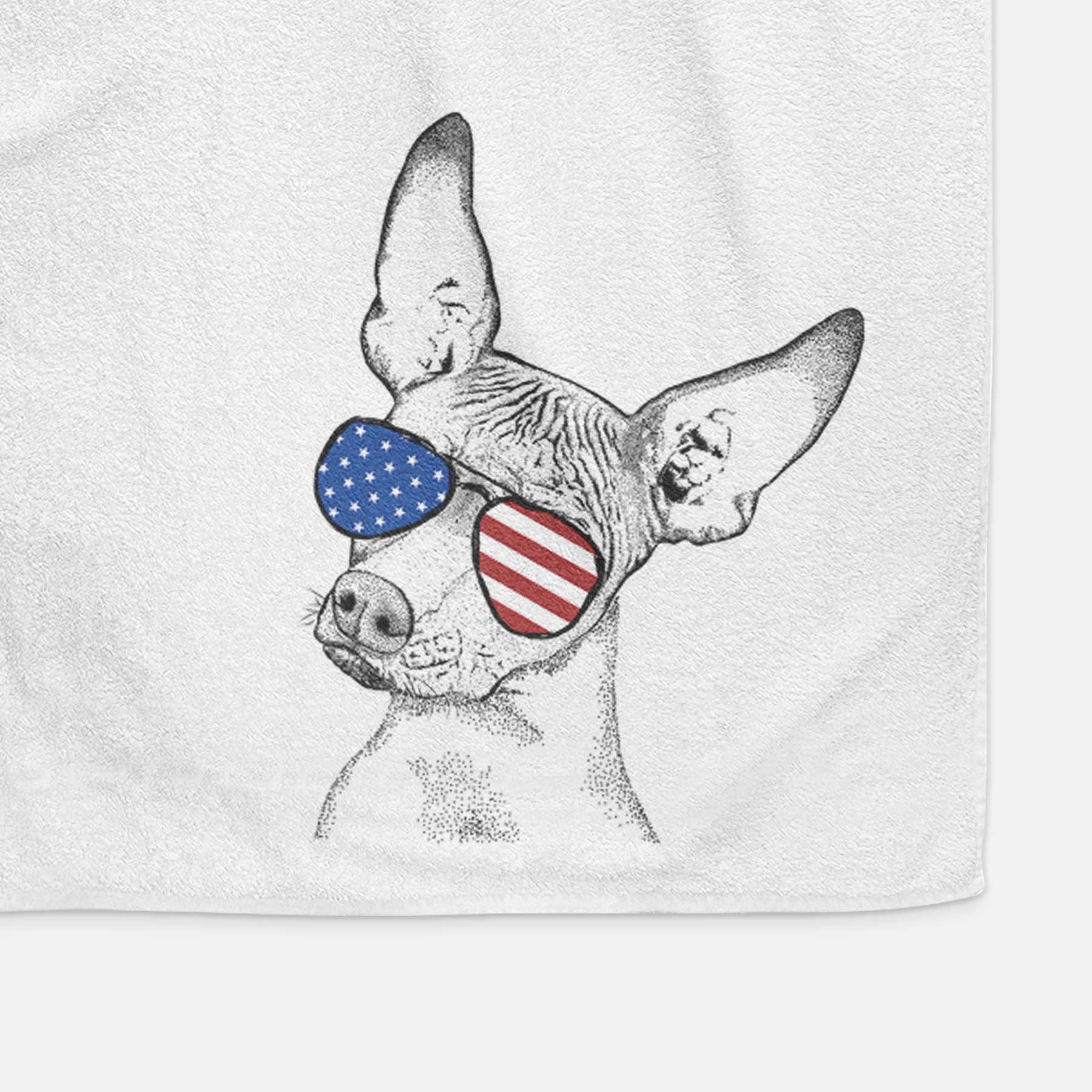 Kahlo the Xoloitzcuintli Decorative Hand Towel