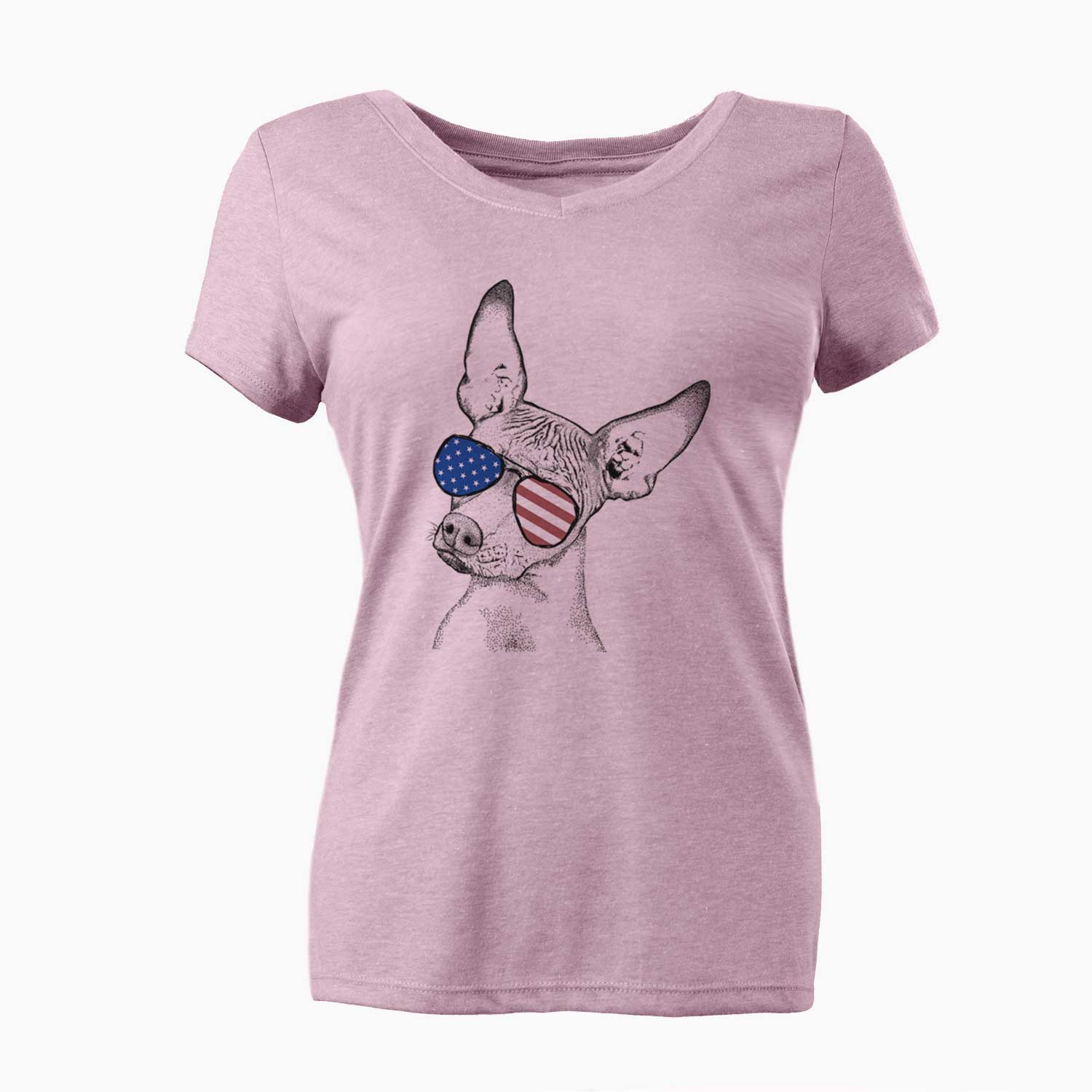 USA Kahlo the Xoloitzcuintli - Women's Perfect V-neck Shirt