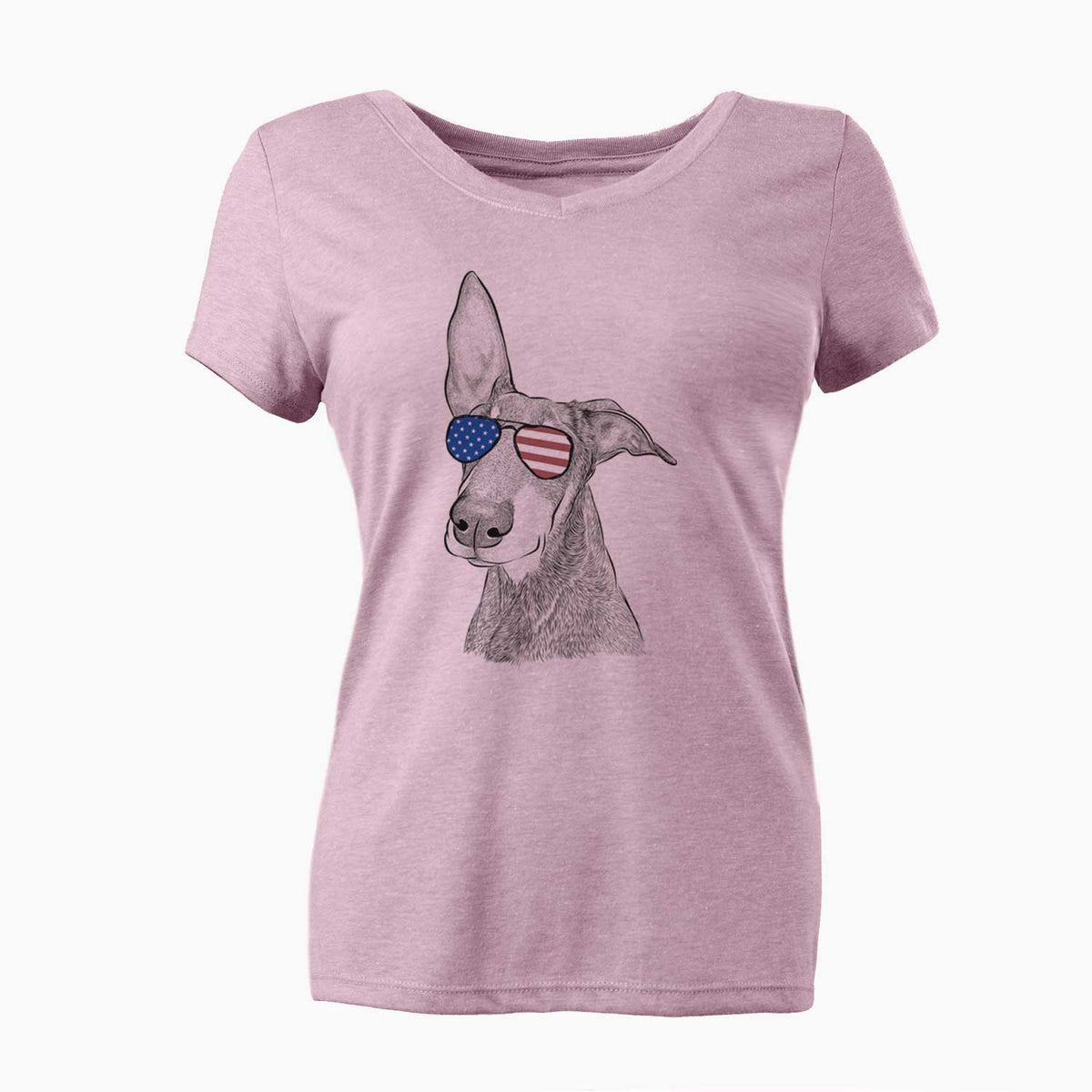 USA Kain the Doberman Pinscher - Women's Perfect V-neck Shirt