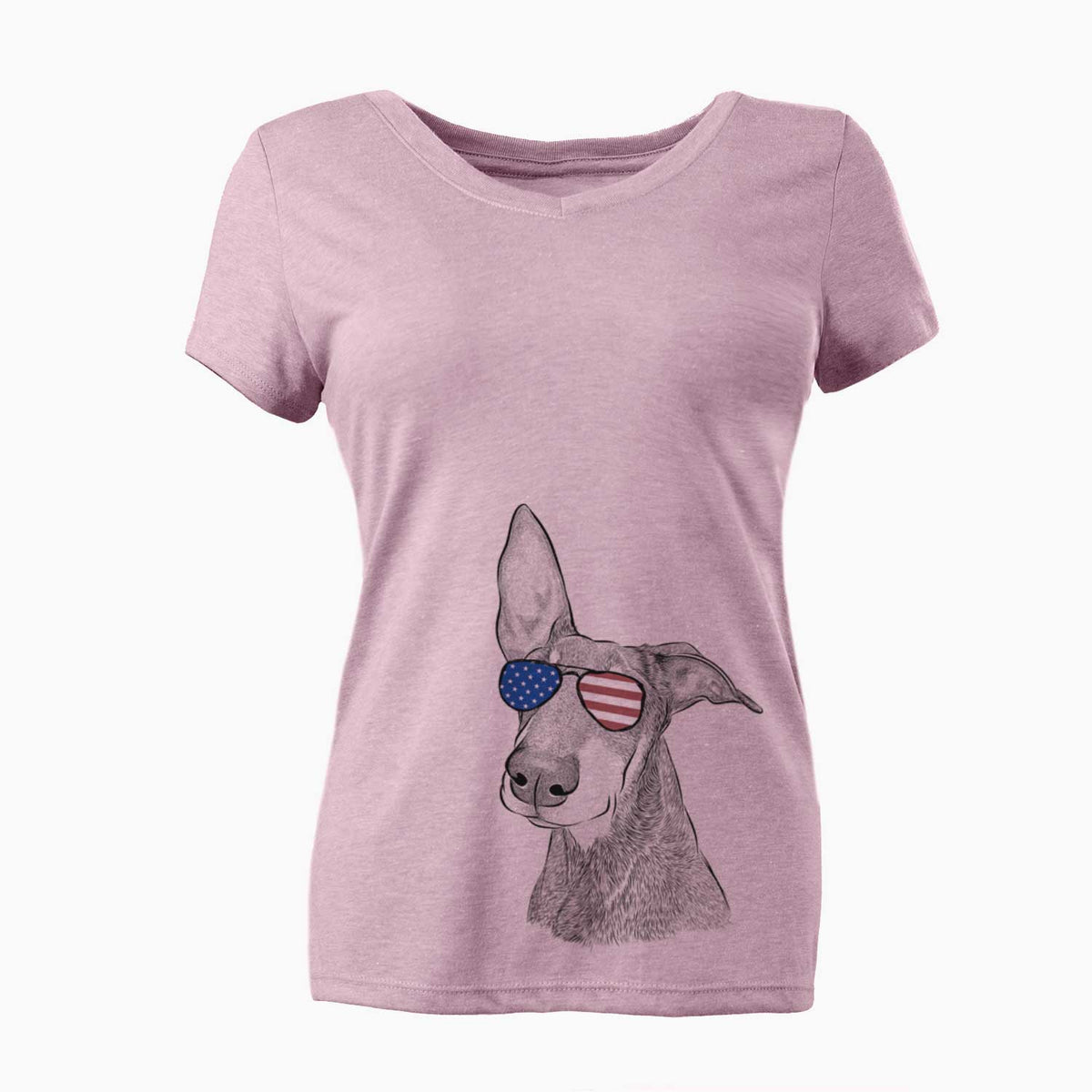 USA Kain the Doberman Pinscher - Women's Perfect V-neck Shirt
