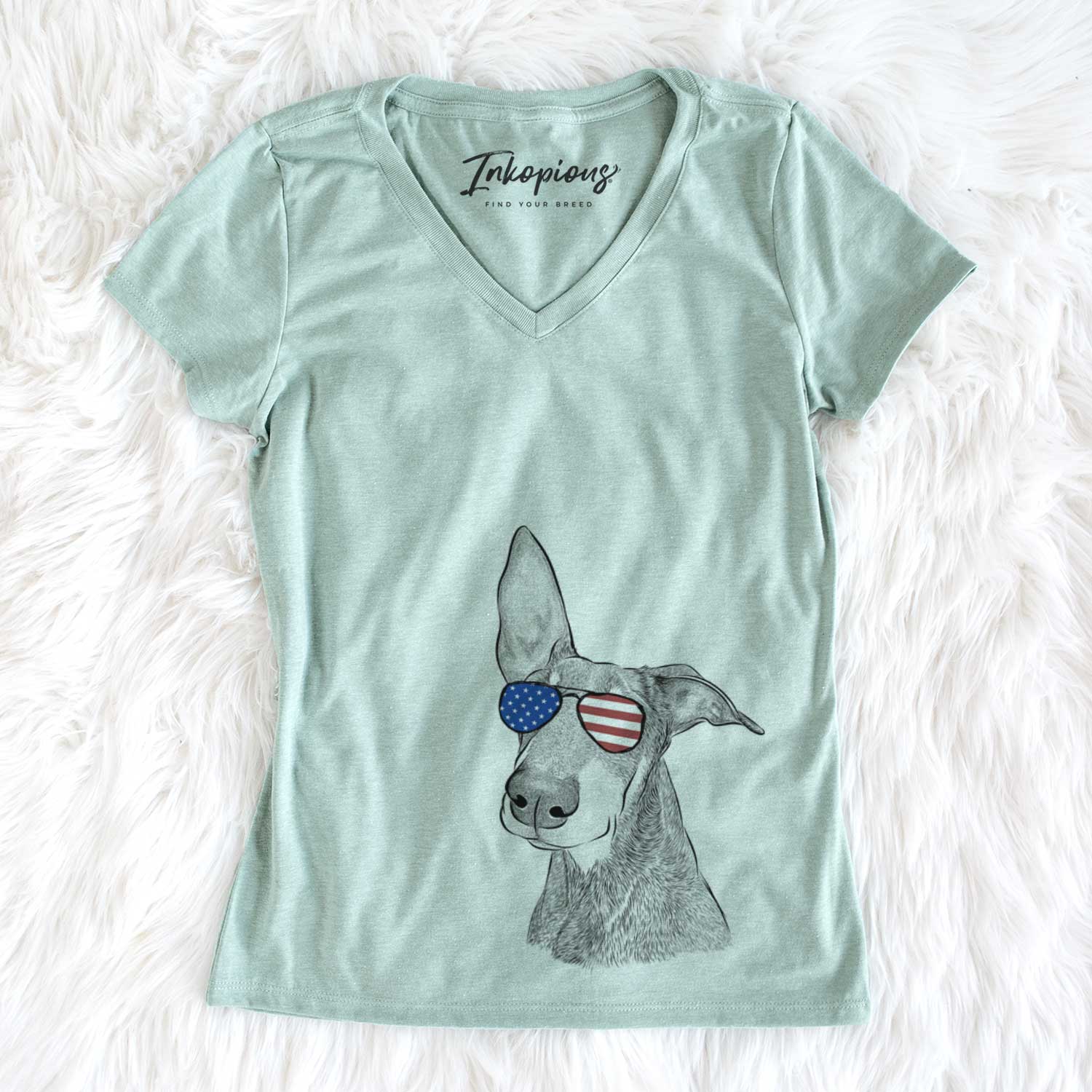 USA Kain the Doberman Pinscher - Women's Perfect V-neck Shirt