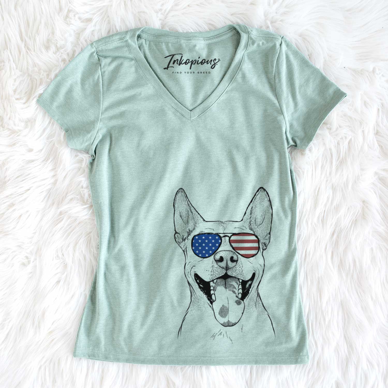 USA Khaleesi the Carolina Dog - Women's Perfect V-neck Shirt