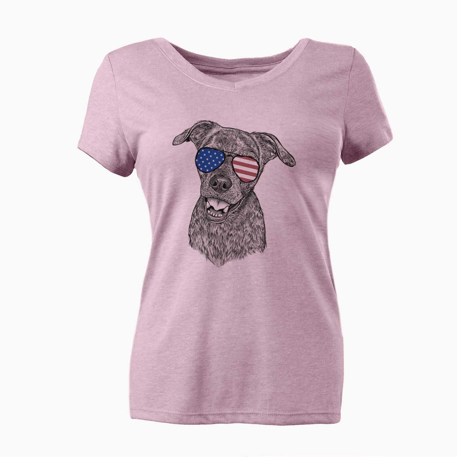 USA Kirby the Mountain Cur Mix - Women's Perfect V-neck Shirt