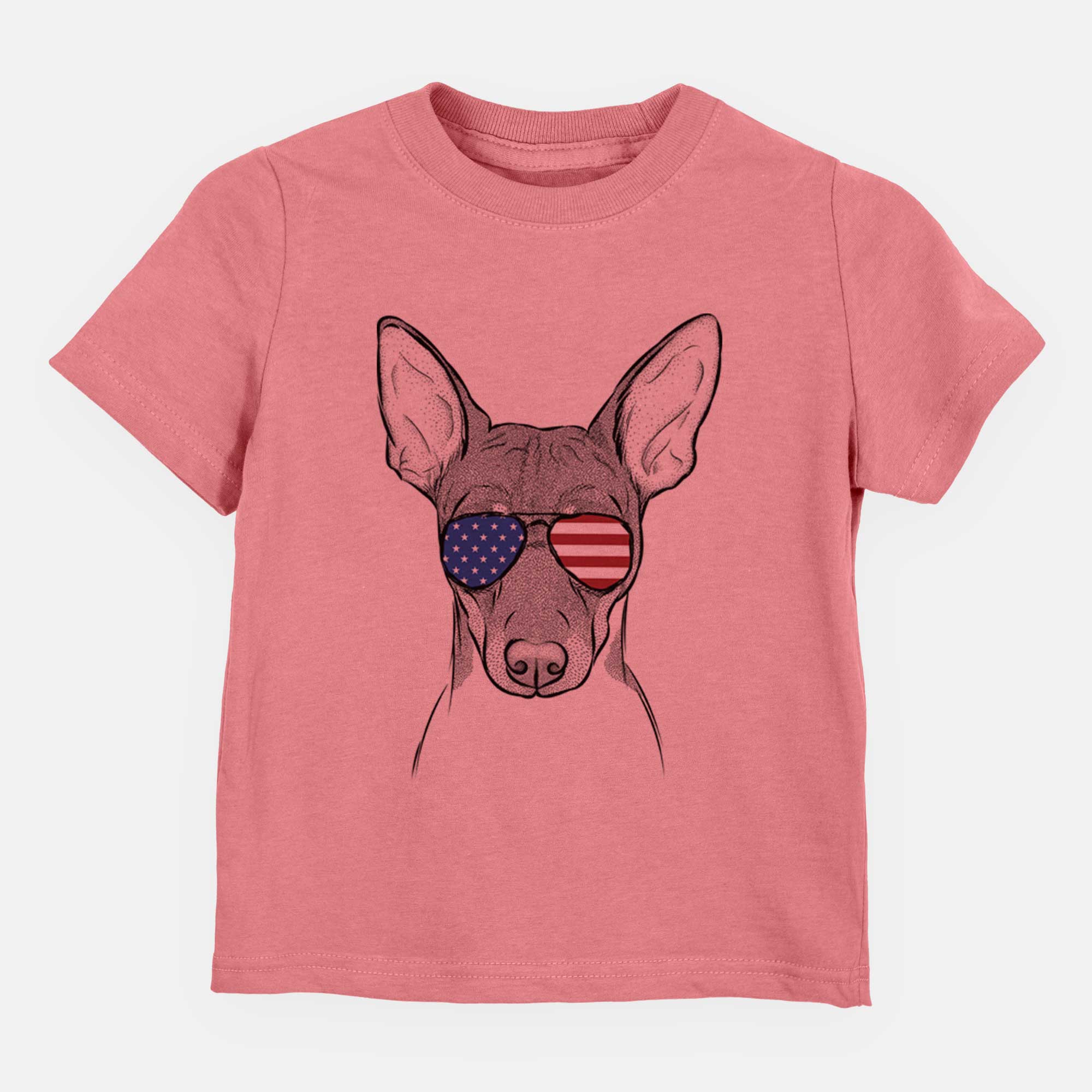 USA Knox the Rat Terrier - Kids/Youth/Toddler Shirt