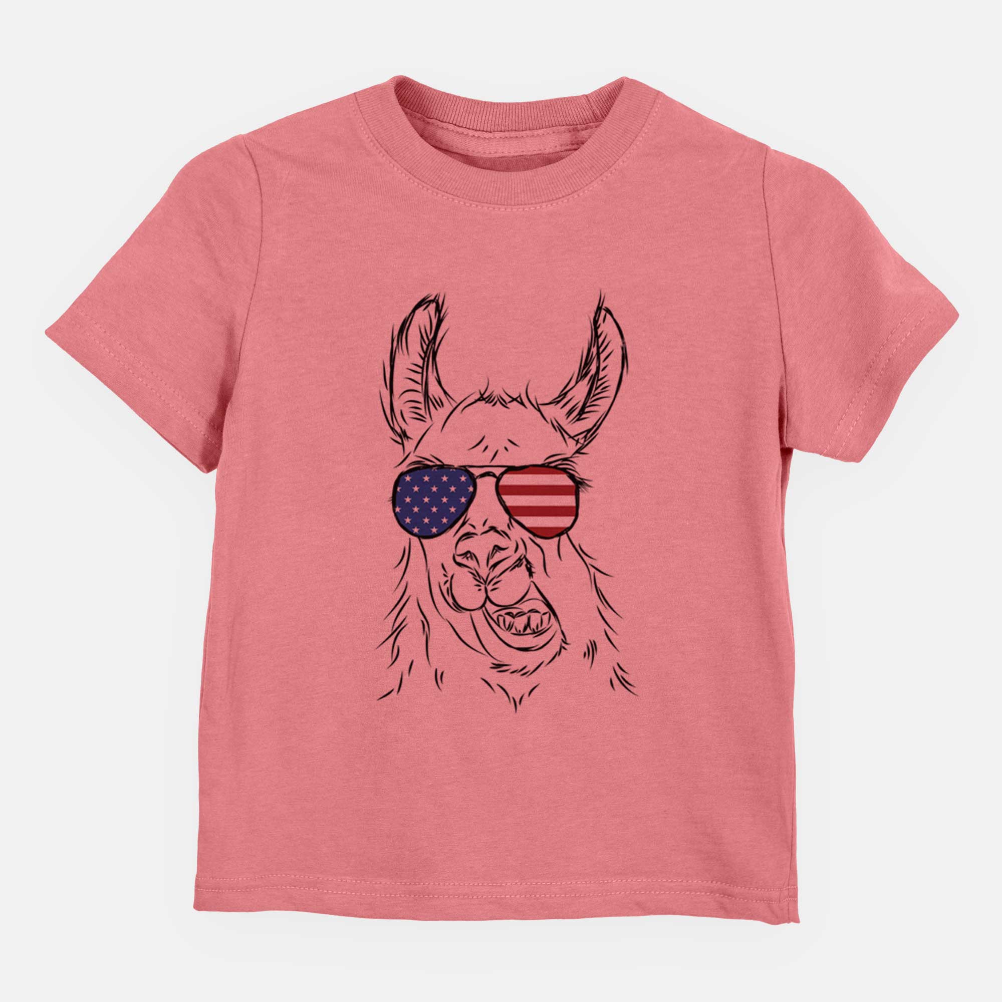 USA Larry the Llama - Kids/Youth/Toddler Shirt