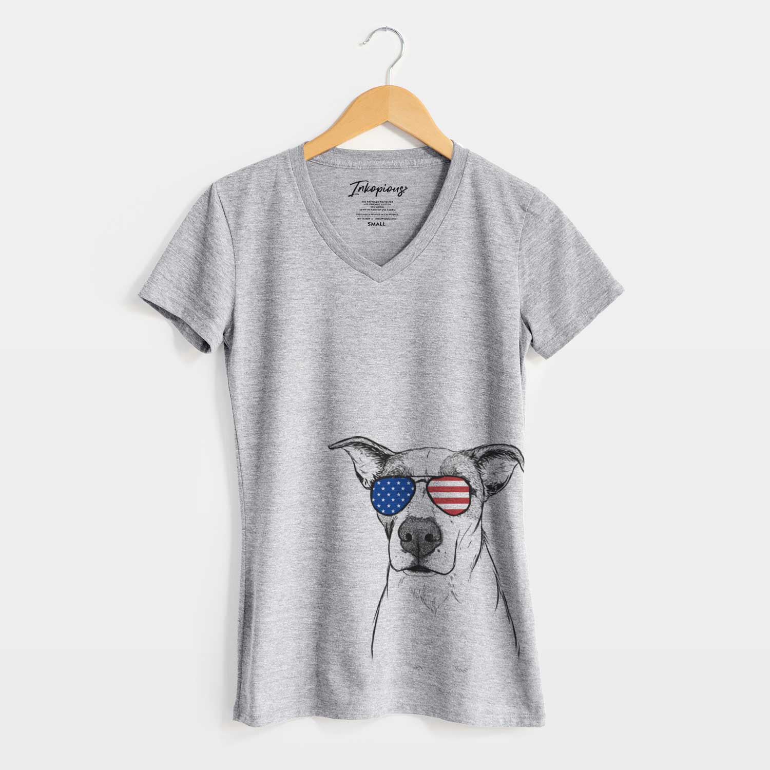 USA Lily the Mixed Breed - Women's Perfect V-neck Shirt