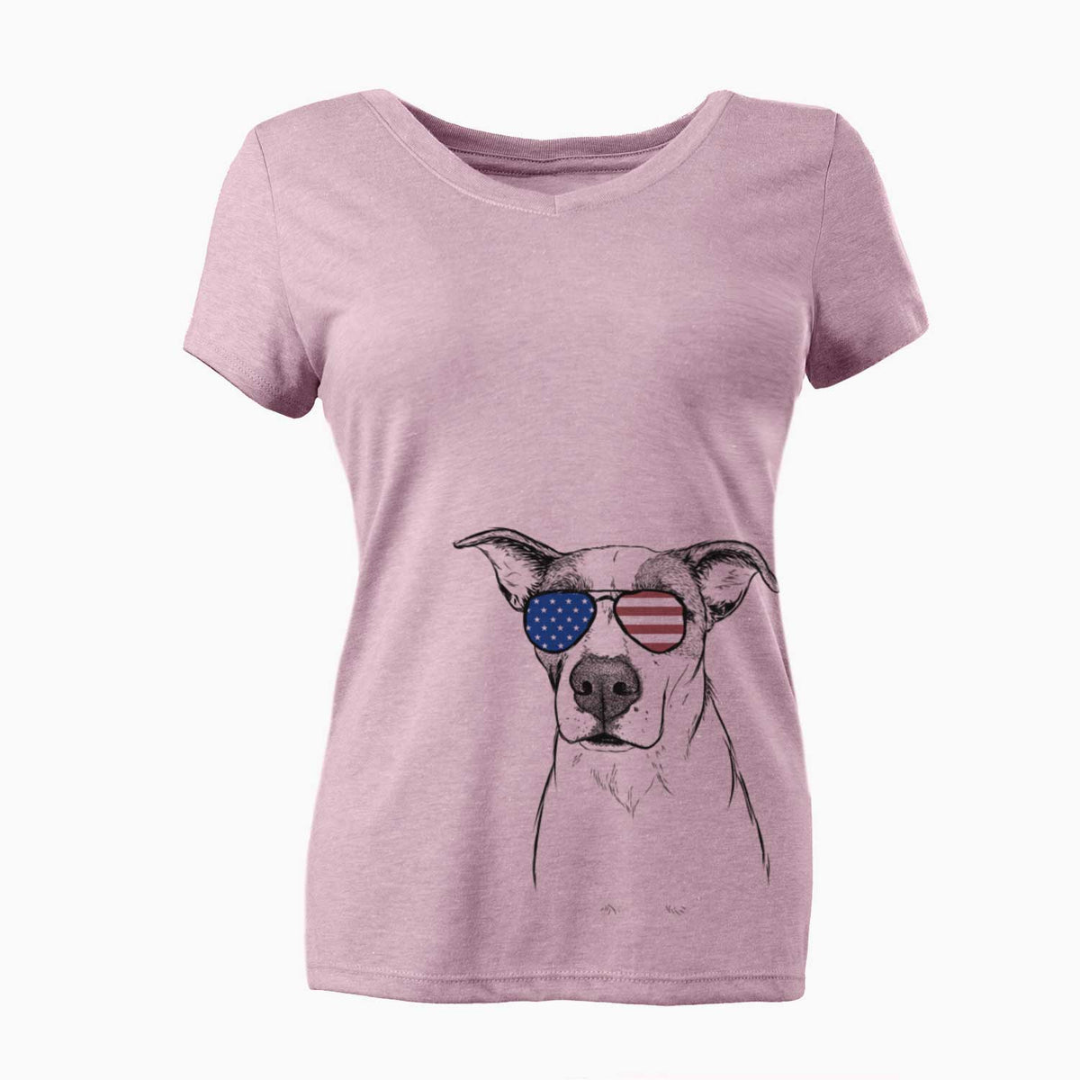 USA Lily the Mixed Breed - Women's Perfect V-neck Shirt