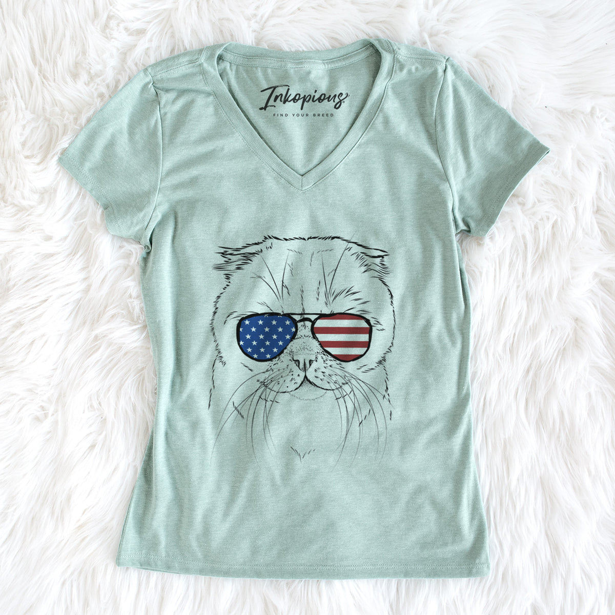 USA Lina the Exotic Fold Cat - Women's Perfect V-neck Shirt