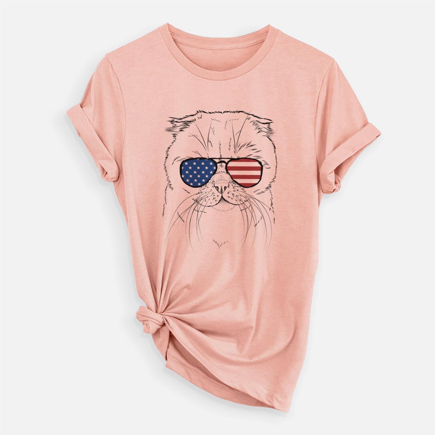 USA Lina the Exotic Fold Cat - Unisex Crewneck