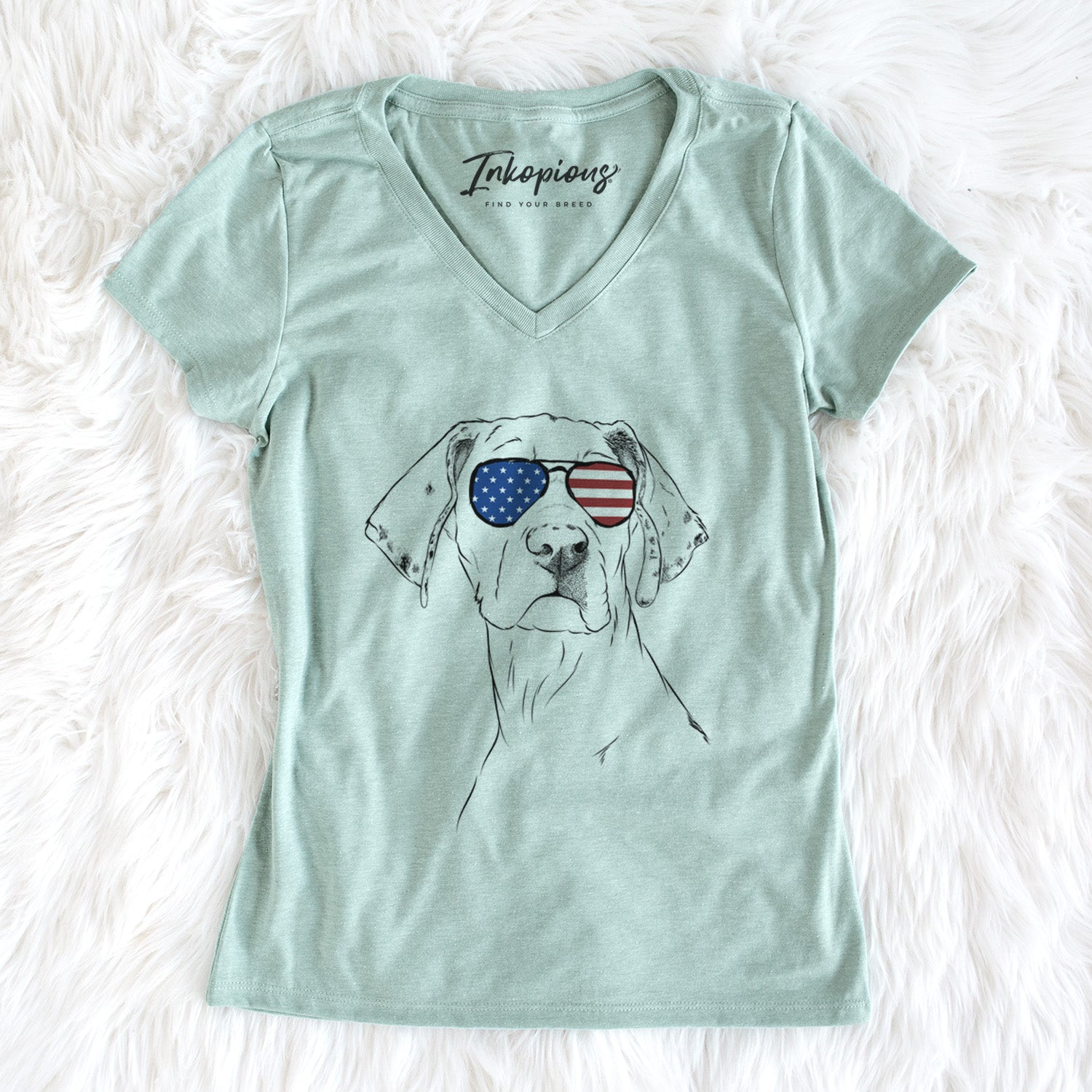 USA Lumen the Special Needs Great Dane - Women's Perfect V-neck Shirt