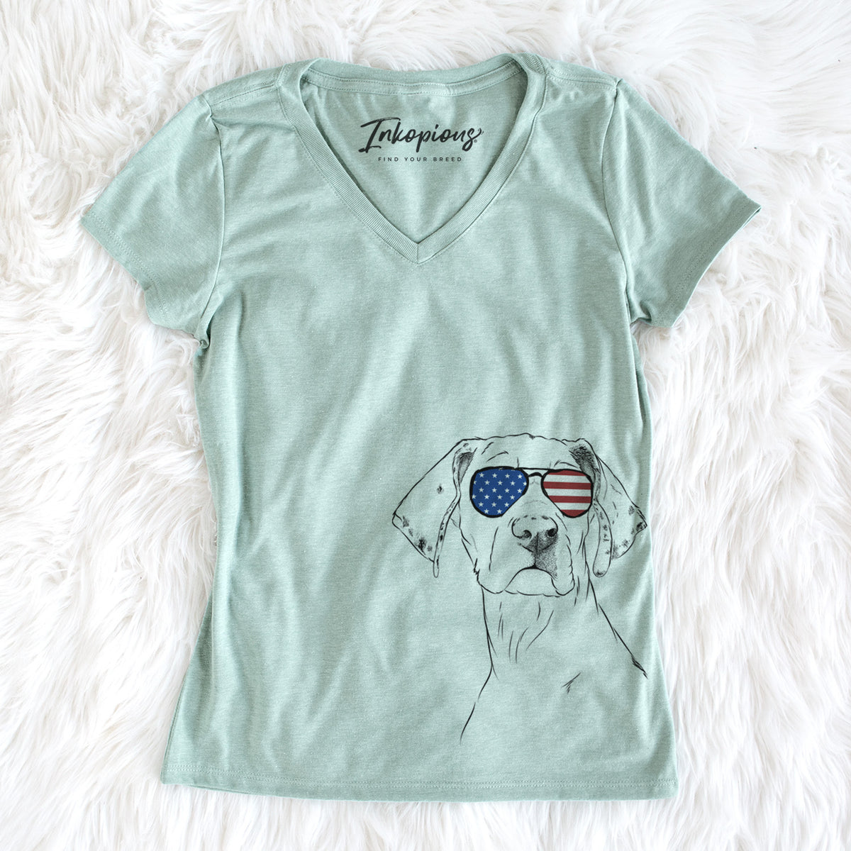USA Lumen the Special Needs Great Dane - Women's Perfect V-neck Shirt