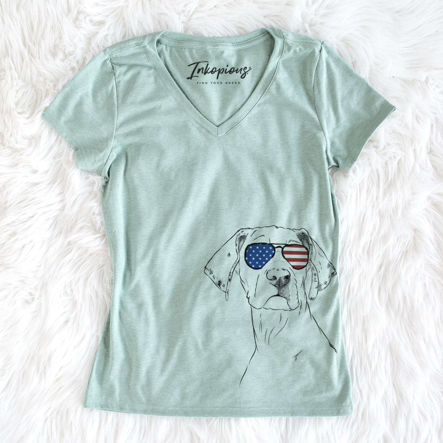 USA Lumen the Special Needs Great Dane - Women's Perfect V-neck Shirt