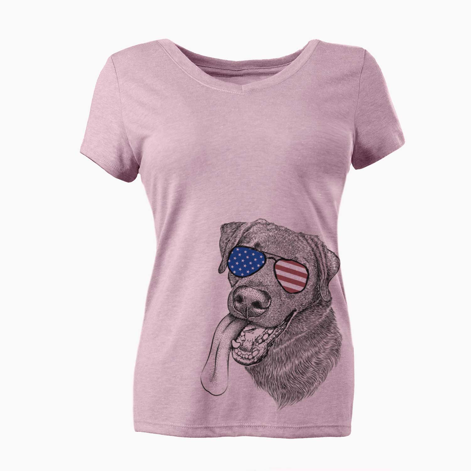 USA Macaroni the Lab Mix - Women's Perfect V-neck Shirt